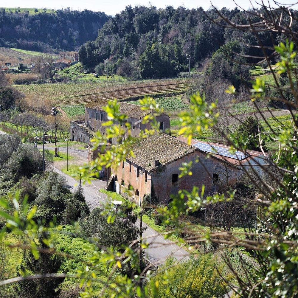 Paesaggio con vegetazione intorno al borgo di Ceri vicino alla Trattoria La Rocca